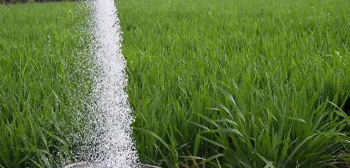 کاربرد اوره