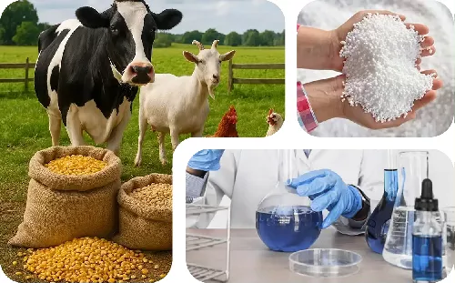 فرآیند تولید اسید فسفریک