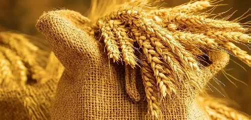 کاربرد اسید سولفوریک